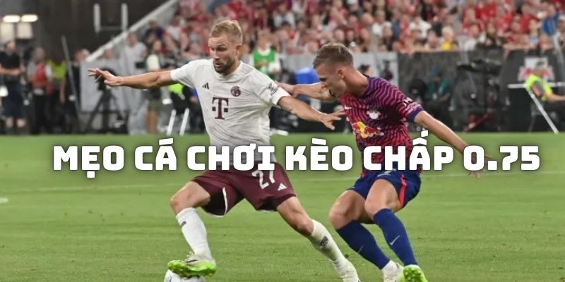 Chia sẻ mẹo cá độ cược chấp 0.75