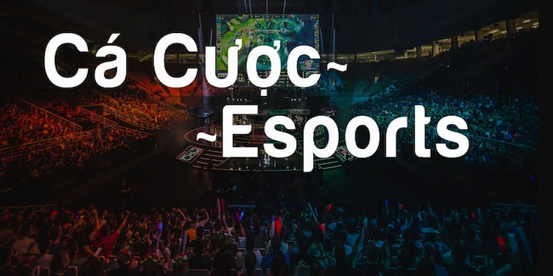 Cược thể thao điện tử Esports bắt kịp xu hướng giới trẻ